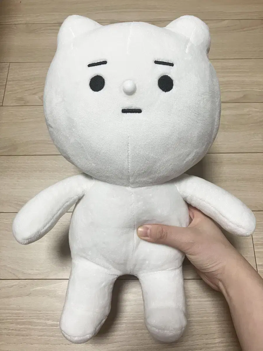 적극적인 곰인형35cm